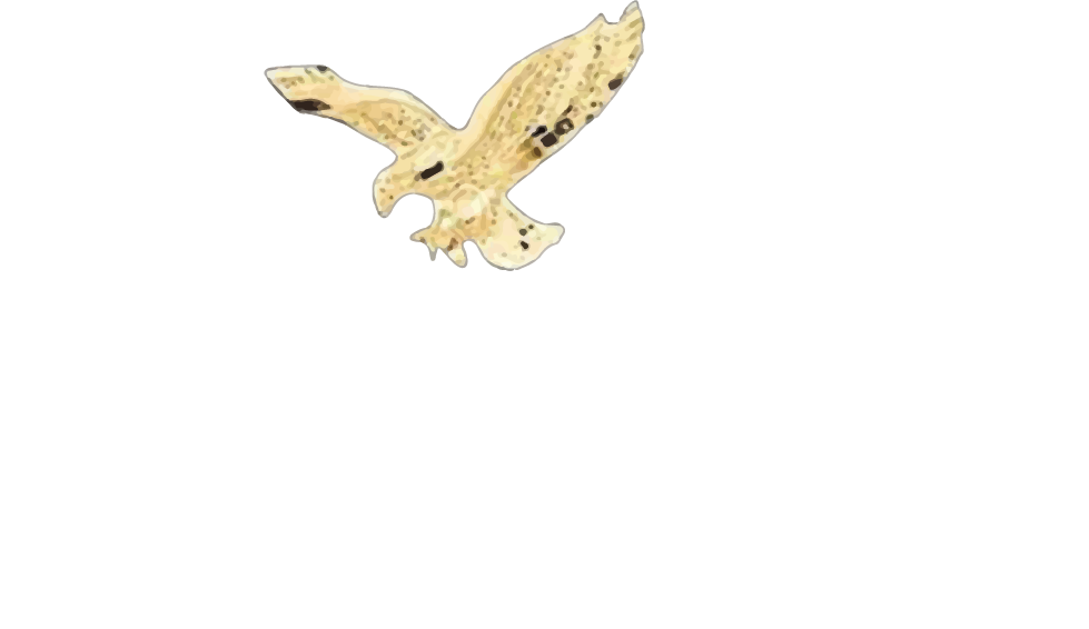 ONE ROQ Vodka®